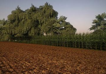 Мод Corn and Soybean Textures версия 1.0 для Farming Simulator 2019 (v1.2.0.1)