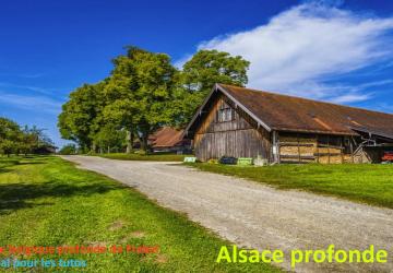 Карта «Alsace map edit» версия 2.0.0.0 для Farming Simulator 2019 (v1.2.0.1)