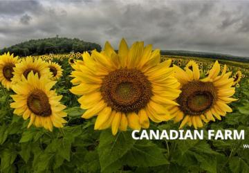 Карта «Canadian Farm» версия 8.0 для Farming Simulator 2019 (v1.7.x)