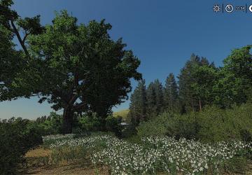Карту Карта «Merlot» версия 1.0 для Farming Simulator 2019 (v1.3.0.1)