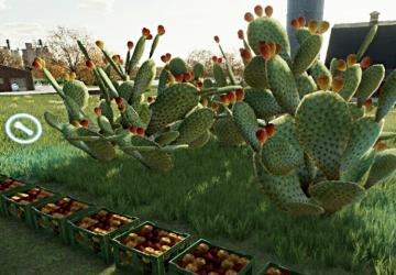 Мод Prickly Pear Cactus версия 1.0.0.0 для Farming Simulator 2022