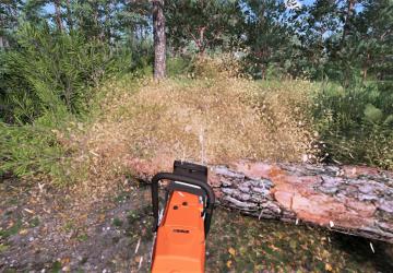 Мод Stihl MS 661 C версия 1.2.0.0 для Farming Simulator 2022