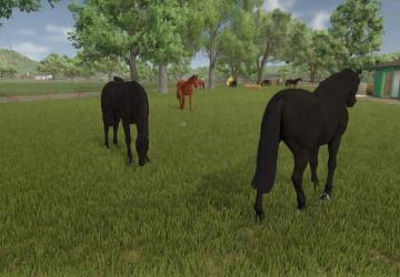 Мод Auto Horse Care версия 1.0.0.0 для Farming Simulator 2025