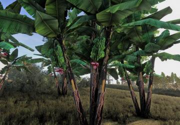 Мод Banana tree версия 1.0.0.0 для Farming Simulator 2025
