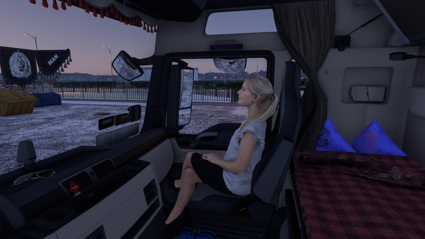 Euro Truck Simulator 2      GAMEINATOR forums