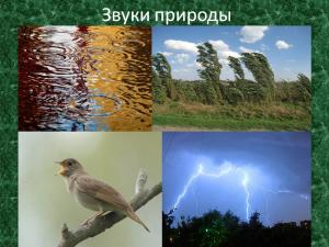 Мод Дополнительные звуки окружающей среды версия 1.0 для SpinTires (v03.03.16)