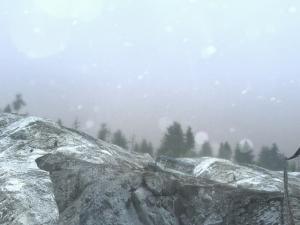 Карта «Полуостров невезения» версия 1.0 для SpinTires (v03.03.16)