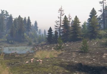 Карта «The Forest Roads» версия Lite для SpinTires (v03.03.16)